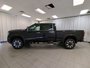 2025 GMC Sierra 2500 HD DENALI-4
