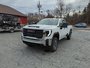 2025 GMC Sierra 3500 HD PRO SRW-3