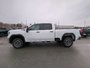 2025 GMC Sierra 3500 HD PRO SRW-4