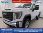 2025 GMC Sierra 3500 HD PRO SRW-0