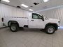 2025 GMC Sierra 3500 HD PRO SRW-8