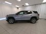 2026 GMC Terrain Elevation-4