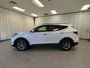 2017 Hyundai Santa Fe Sport SE-4
