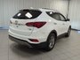 2017 Hyundai Santa Fe Sport SE-7