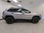 2019 Jeep Cherokee Trailhawk Elite-8