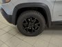 2019 Jeep Cherokee Trailhawk Elite-9