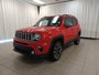 2019 Jeep Renegade Limited-7