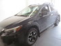 2019 Subaru Crosstrek Sport-1