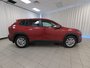 2023 Toyota COROLLA CROSS LE-8