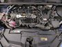 2024 Toyota Prius XLE-24