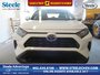 2022 Toyota RAV4 LE-0