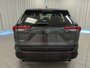 2024 Toyota RAV4 LE-6
