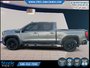 GMC Sierra 1500 Elevation 2020-4