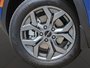 2025 Kia Seltos EX drive with confidence, AWD, Advance Safety, striking blue