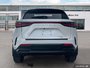 2023 Lexus NX 350 Power Meets Precision — Experience the 2023 Lexus NX 350.