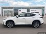 2023 Lexus NX 350 Power Meets Precision — Experience the 2023 Lexus NX 350.