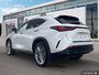2023 Lexus NX 350 Power Meets Precision — Experience the 2023 Lexus NX 350.