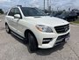 Mercedes-Benz M-Class ML 350 BLUETEC 2012