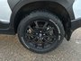 2024 Subaru CROSSTREK WILDERNESS NO ACCIDENTS | ONE OWNER | LOW KM | ALL WEATHER SOFT-TOUCH SEATING SURFACES | EYESIGHT