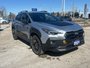 2024 Subaru CROSSTREK WILDERNESS NO ACCIDENTS | ONE OWNER | LOW KM | SUNROOF | HEATED SEATS | EYESIGHT | BACKUP CAMERA | HEATED WHEEL