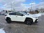 2024 Subaru CROSSTREK CONVENIENCE CLEAN CARFAX | ONE OWNER | FULL DEALER SERVICE | FULLY DETAILED