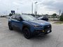 2024 Subaru CROSSTREK WILDERNESS ONE OWNER | CLEAN CARFAX | FULL SERVICE HISTORY | RARE FIND