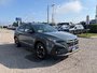 2024 Subaru CROSSTREK LIMITED ONE OWNER | CLEAN CARFAX | FULL SERVICE HISTORY