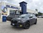 2025 Subaru CROSSTREK ONYX CVT ONE OWNER | CLEAN CARFAX | FULL SERVICE HISTORY