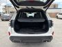 2025 Subaru FORESTER LIMITED ONE OWNER | CLEAN CARFAX | LOW MILEAGE | AWD | EYESIGHT | SUNROOF | CARPLAY | HEATED SEATS
