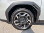 2025 Subaru FORESTER LIMITED ONE OWNER | CLEAN CARFAX | DEALER SERVICE