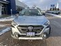 Subaru Outback LIMITED 2023