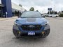 Subaru OUTBACK WILDERNESS 2023