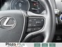 2022 Lexus UX 250h