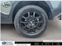 2024 Subaru CROSSTREK WILDERNESS | WILDERNESS | CLEAN CARFAX | 11.6
