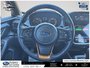 2024 Subaru Crosstrek Wilderness | WILDERNESS | CLEAN CARFAX | HEATED SEATS AND STEERING WHEEL | SUNROOF |