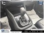 2025 Subaru Forester Limited | CLEAN CARFAX | APPLE CARPLAY & ANDROID AUTO | HEATED SEATS | ROOF CROSS BARS | SUNROOF |