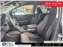 2024 Subaru Outback Convenience