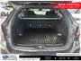 2024 Subaru Outback Convenience