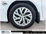 2019 Toyota Corolla LE | HEATED SEATS | BACKUP CAMERA | KEYLESS ENTRY | CRUISE CONTROL |