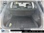 2023 Volkswagen Tiguan Comfortline R-Line Black Edition | DUAL ZONE CLIMATE CONTROL | HEATED SEATS | SELECTABLE DRIVE MODES | SUNROOF |