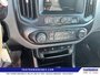 2019 Chevrolet Colorado 2WD Work Truck-16