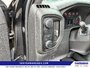 2022 Chevrolet Silverado 1500 Custom Trail Boss-11