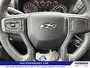 2022 Chevrolet Silverado 1500 Custom Trail Boss-14