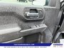 2022 Chevrolet Silverado 1500 Custom Trail Boss-10
