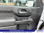 2023 Chevrolet Silverado 1500 Work Truck-10