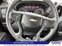 2024 Chevrolet Silverado 1500 Work Truck-12