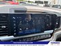 2024 Chevrolet Silverado 1500 LT Trail Boss-18