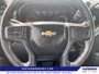 2024 Chevrolet Silverado 1500 Work Truck-14
