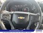 2024 Chevrolet Silverado 1500 Work Truck-14