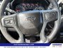 2024 Chevrolet Silverado 1500 Custom Trail Boss-15